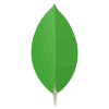 MongoDB.png